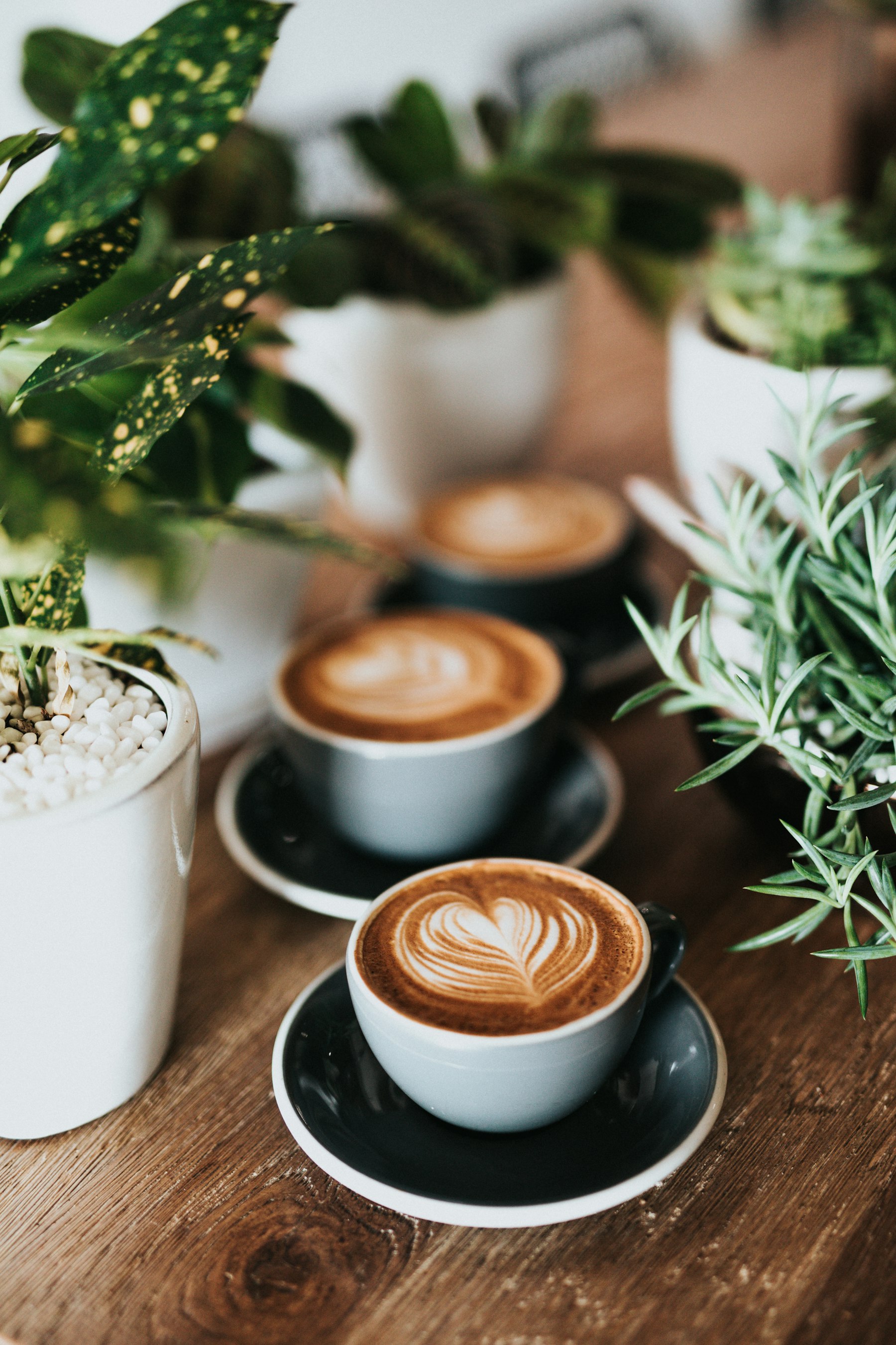 Chủ xưởng rang Nam Hai Cafe đang kiểm tra chất lượng chiết xuất tại quầy bar
