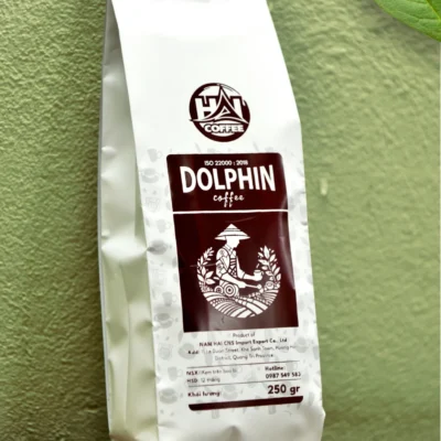 Alternative view of DOLPHIN